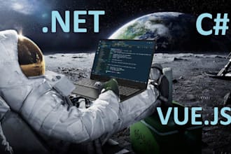 debug your dot net or vuejs application