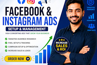 setup and manage facebook ads campaign in meta ads manager