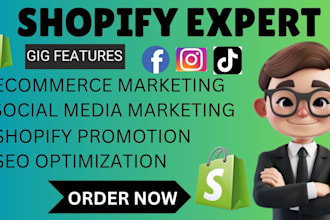 be your shopify ecommerce marketing seo social madia manager