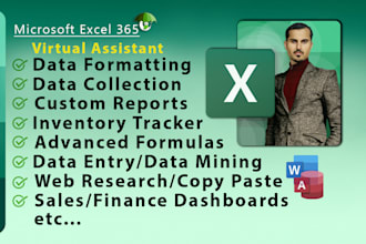 be your virtual assistant for data entry and spreadsheet copy paste