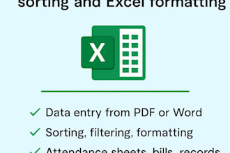 do clean data entry sorting and excel formatting
