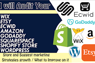 ecommerce store audit suggest marketing strategies increase sales audit seo