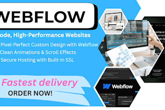 develop a professional and responsive web flow website