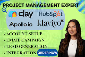 set up clay CRM, klaviyo  apollo io and yotpo automation workflows
