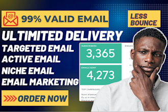 build a targeted  and verified email list, email marketing campaign b2b leads