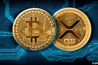 p2p website, dex, ohm fork, defi staking, memecoin platform, stablecoin,nft mint