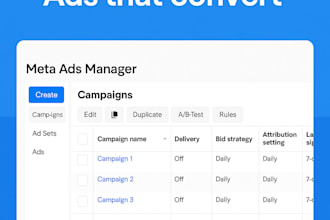 run instagram facebook google ads that convert