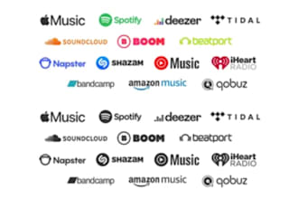 do beatport promotion apple music spotify amazon music organic itunes promotion