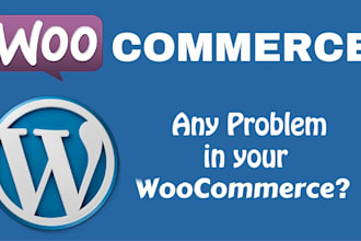 solve any woo commerce issues