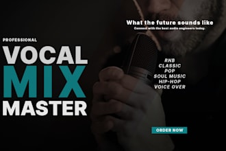 professionally mix and master your song for spotify, youtube