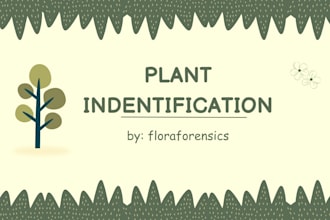 identify the plants you provide and write their morphological characteristic