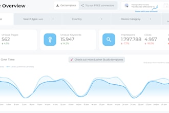 custom looker studio dashboard  data visualization reports