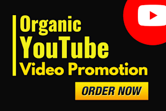 do organic youtube video promotion for your channel growth
