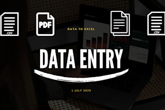 fast and accurate data entry in excel convert PDF word images to spreadsheet