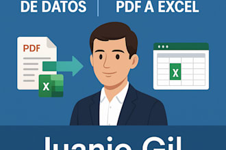 transcribiré y organizaré tus datos en excel, word o google sheets