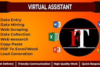 provide accurate and efficient data entry services
