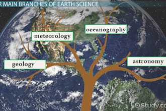 translate scientific and business texts