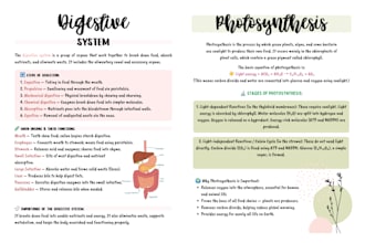 create aesthetic study notes for students and teachers