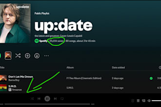 pitch your music to spotify curators for organic promotion