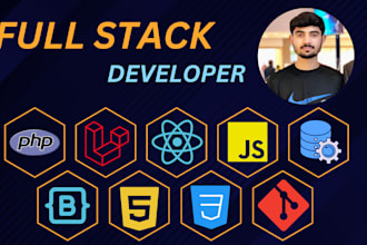 develop and fix bugs in your full stack laravel project
