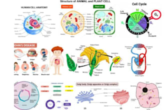 medical, scientific and biology illustrations