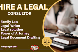 draft your custom legal parent plan legal solution parent law, legal assistance