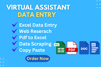 do excel data entry, copy paste, web research, typing and pdf convert excel