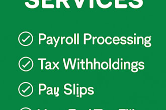 provide professional payroll services