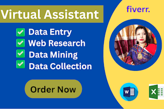 data entry expert for excel web research and typing