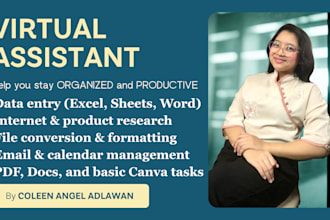be your virtual assistant for data entry and admin tasks