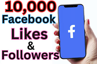 1000 organic facebook followers fast