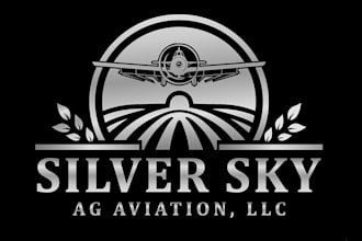create a high quality professional airplane logo design for your company