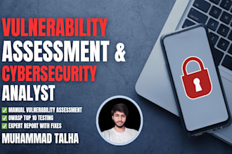 perform a cybersecurity audit and deliver a detailed report