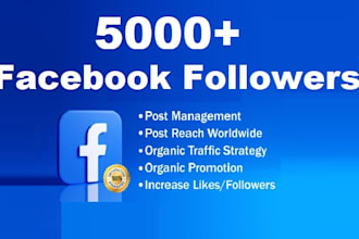 1000 organic facebook followers fast