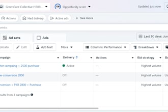 be your shopify ads expert for facebook and instagram campaigns