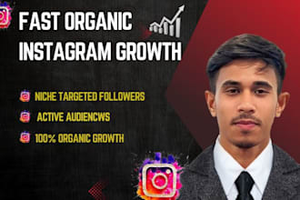 fast organic instagram growth and engagement