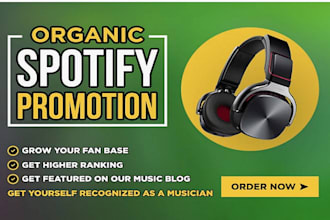 do professional soundcloud promotion for music track