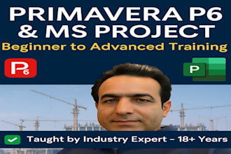 teach primavera p6 and ms project with real industry project planning expertise