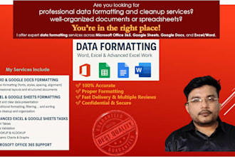do advance excel and word formatting