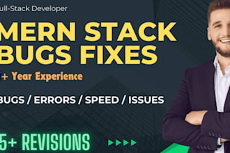 fix bugs integrate apis and optimize performance in your web app