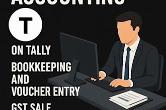 manage professional accounting and financial records