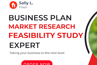 do investor ready market research, business plan, and feasibility study reports