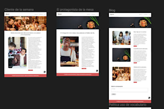 programador o diseñador web