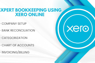 provide xero bookkeeping service