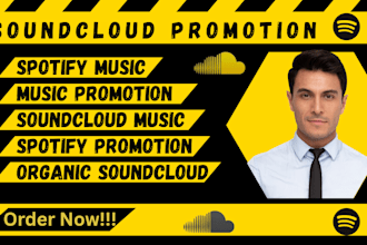 do spotify promotion, soundcloud promotion or music marketing to boost audience