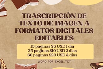 transcripcion de textos de imagenes a medios digitales como word, excel o texto
