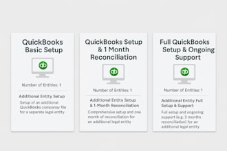 do professional quickbooks setup and cleanup