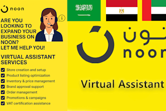 be your expert and professional noon virtual assistant