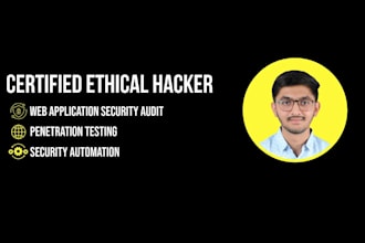 vulnerability and penetration test your site