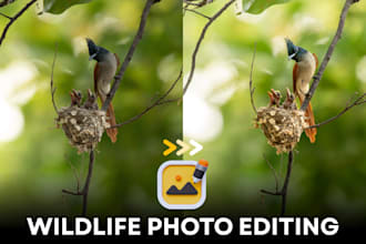 do professional wildlife and nature image editing